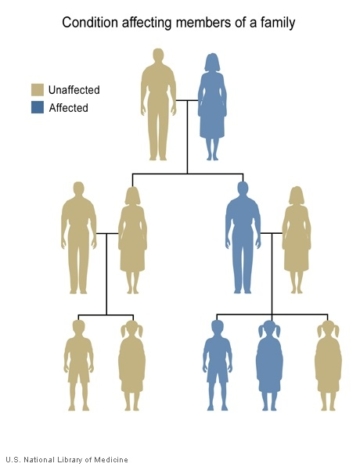 Image illustrating how genes pass from parents to children